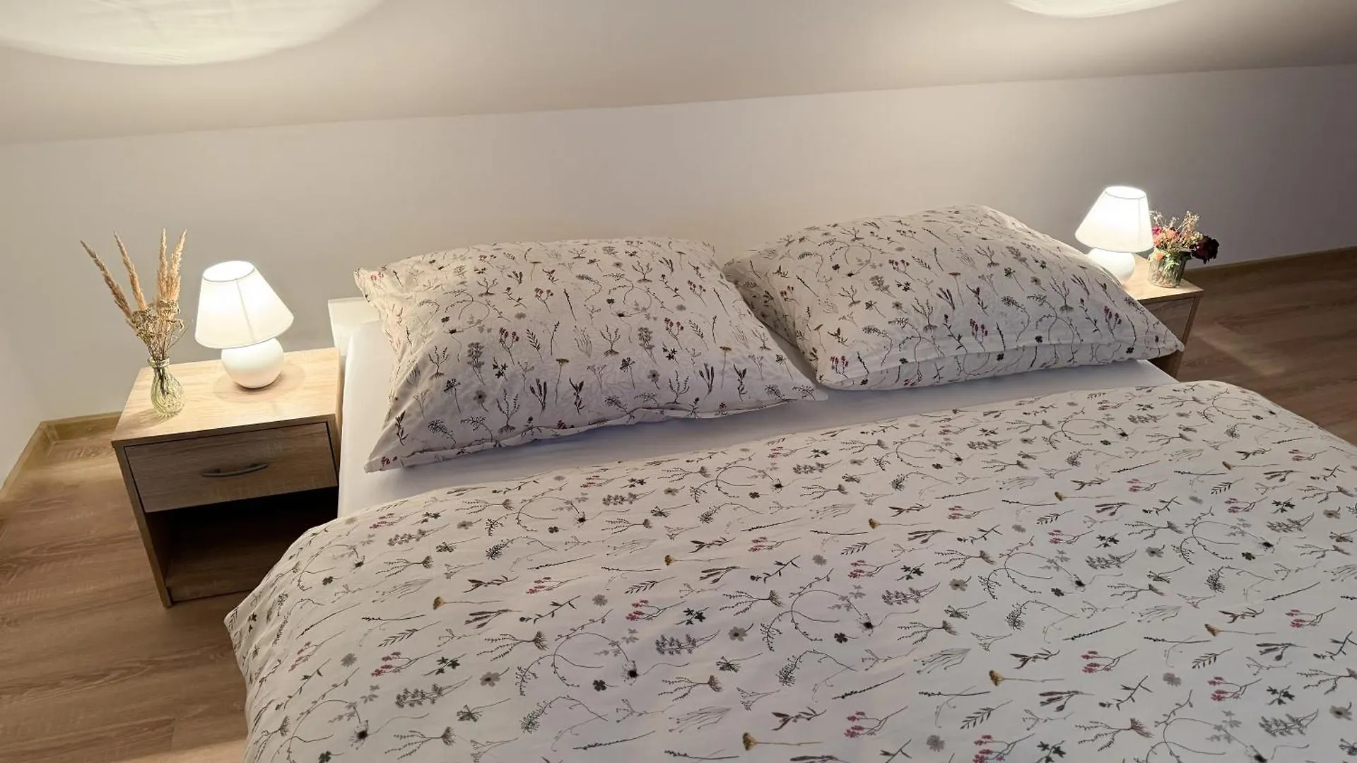 Apartment U Cerneho Orla 카를로비바리 0*,