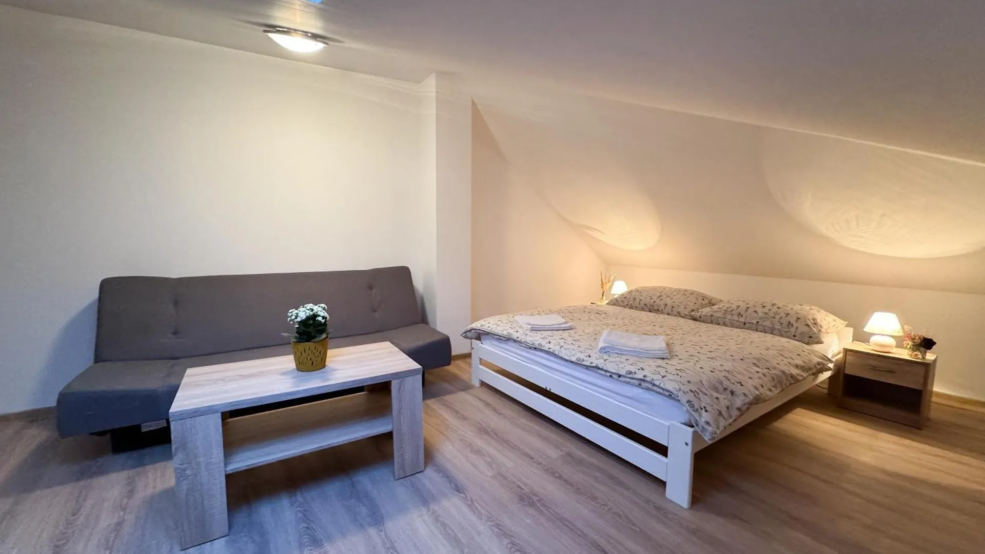 Apartment U Cerneho Orla 카를로비바리