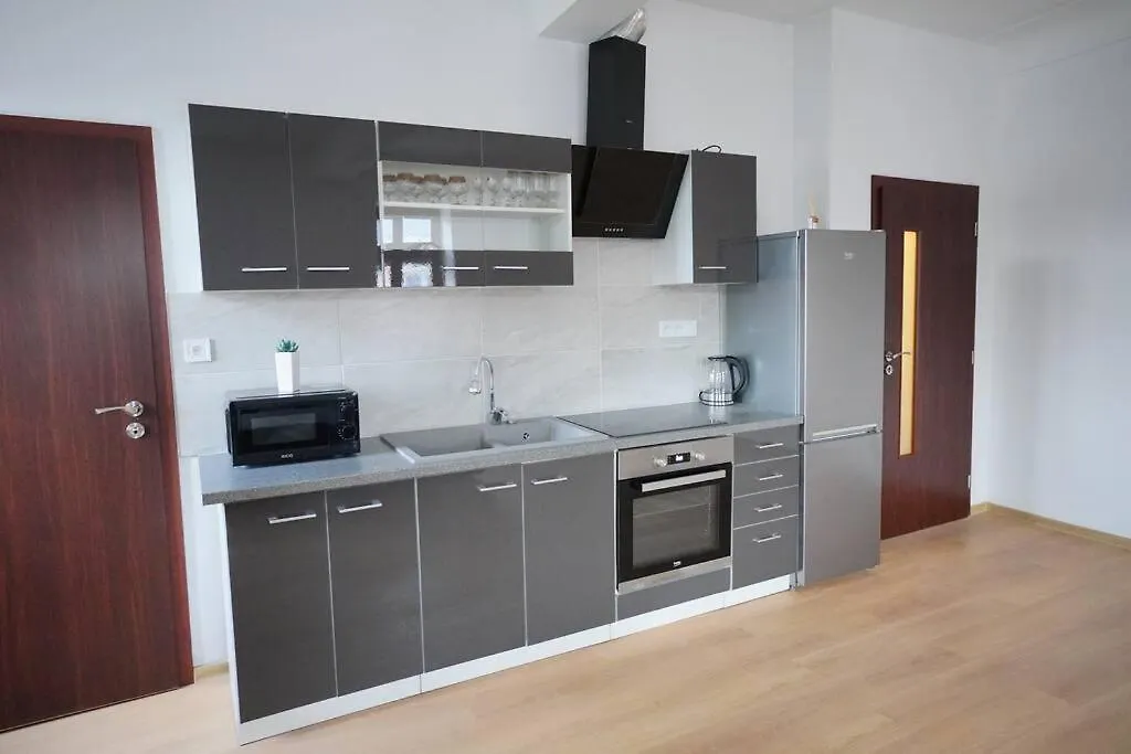Apartment U Cerneho Orla 카를로비바리 0*,