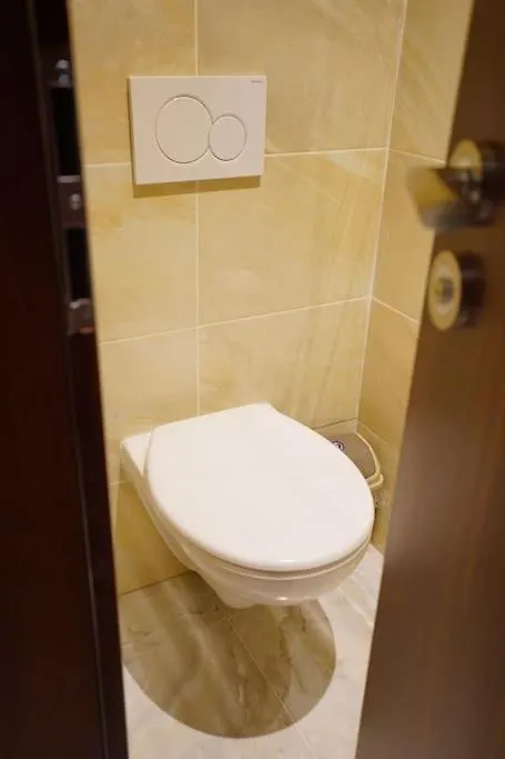 Apartment U Cerneho Orla 카를로비바리 0*,
