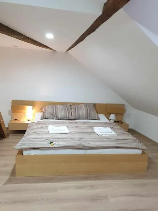 Apartment U Cerneho Orla 카를로비바리 0*,  체코