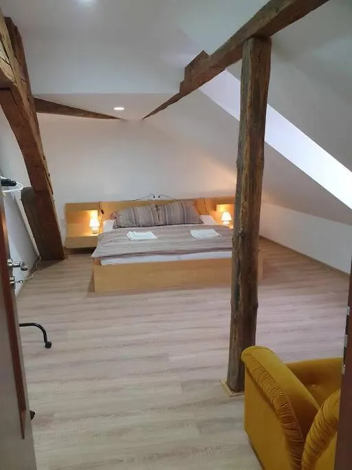 Apartment U Cerneho Orla 카를로비바리