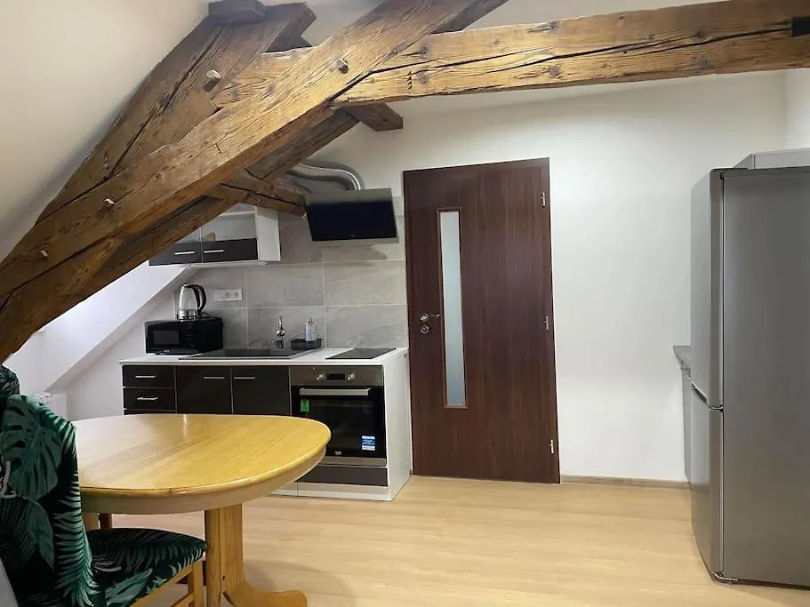Apartment U Cerneho Orla 카를로비바리
