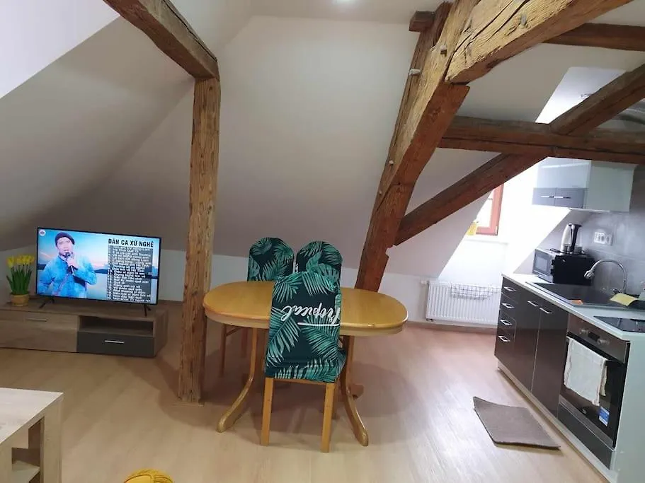 Apartment U Cerneho Orla 카를로비바리